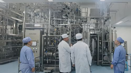 天鶩科技與金賽藥業攜手實現全球首款經大模型設計蛋白質產品的工業化生產落地